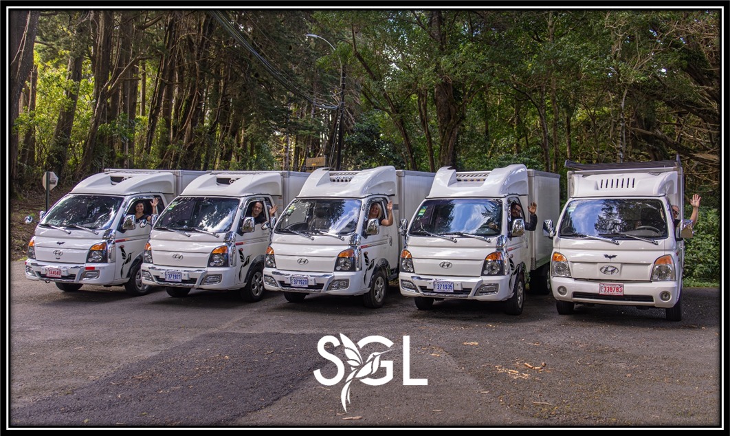 SG LOPSAN SRL - Galería 17